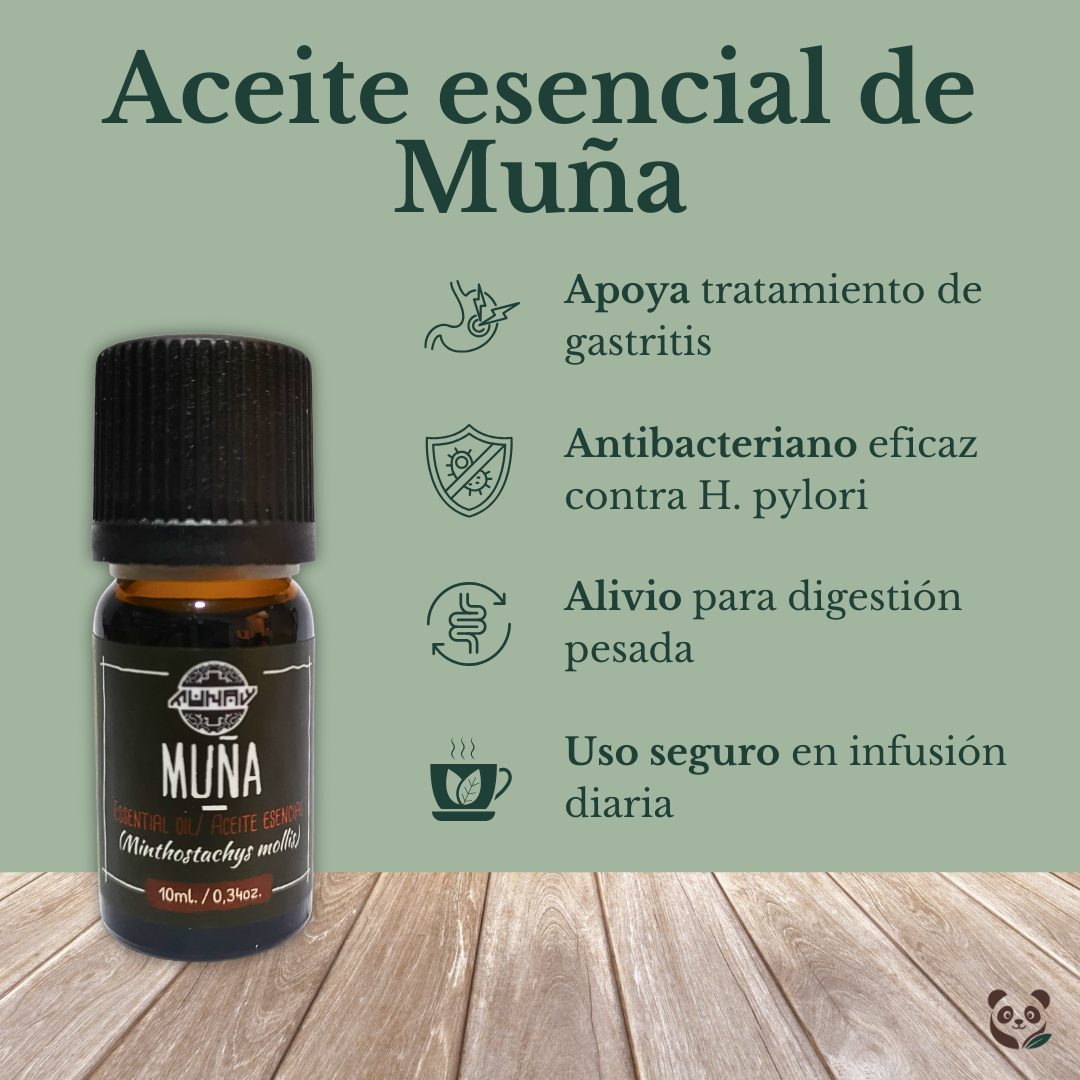 Aceite Esencial de Muña | Alivio digestivo y defensa contra Helicobacter MUNAY