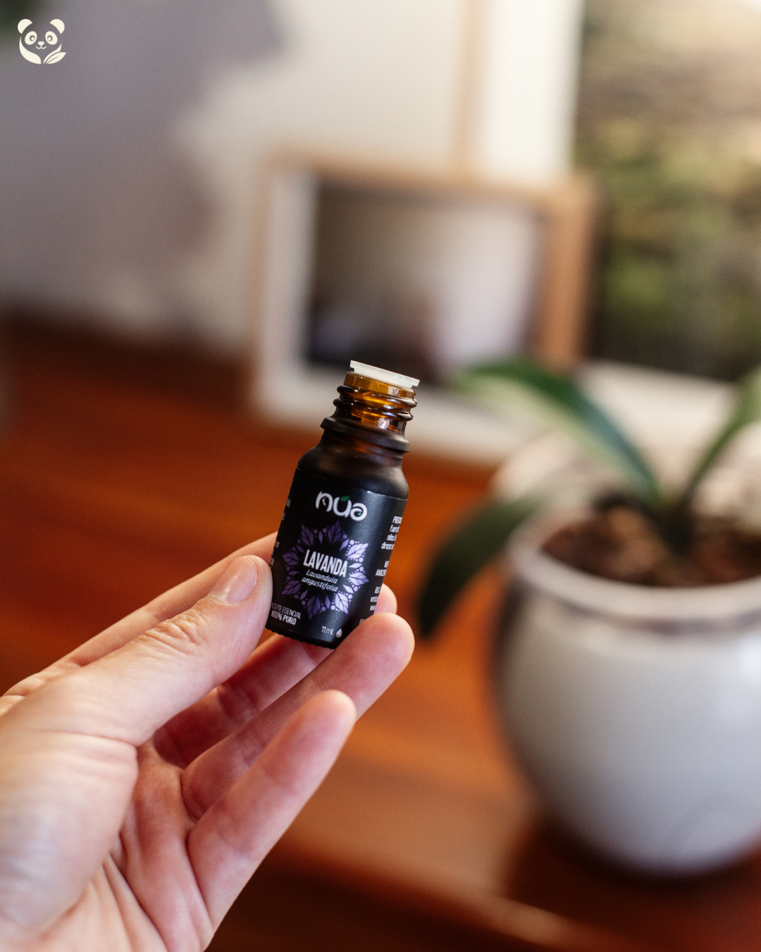 Aceite Esencial de Lavanda de Bulgaria | Relajante natural para estrés, insomnio y masajes (Copia) EcoValle