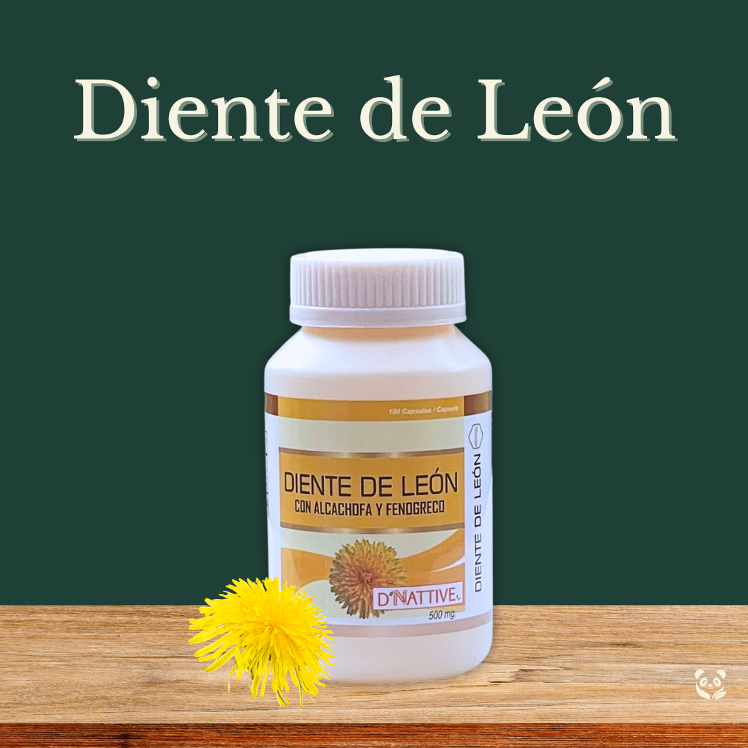 Diente de León + Alcachofa | Protección hepática y vesícula sana D' Nattive