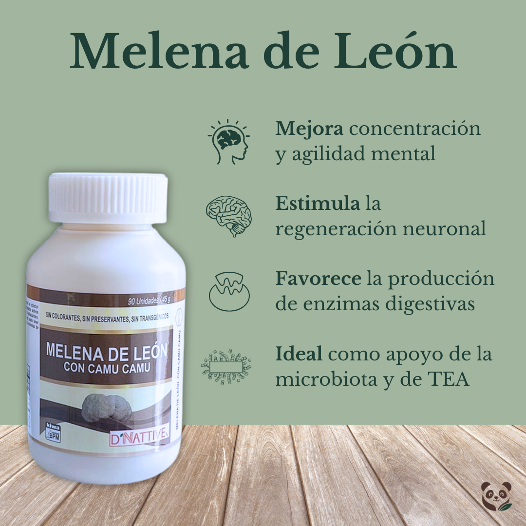 Melena de León con Vitamina C | Memoria, enfoque y flora intestinal Oriundo's, D' Nattive