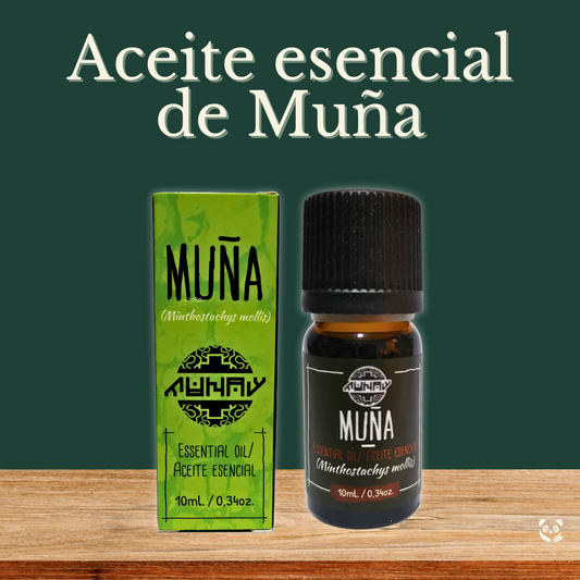 Aceite Esencial de Muña | Alivio digestivo y defensa contra Helicobacter MUNAY