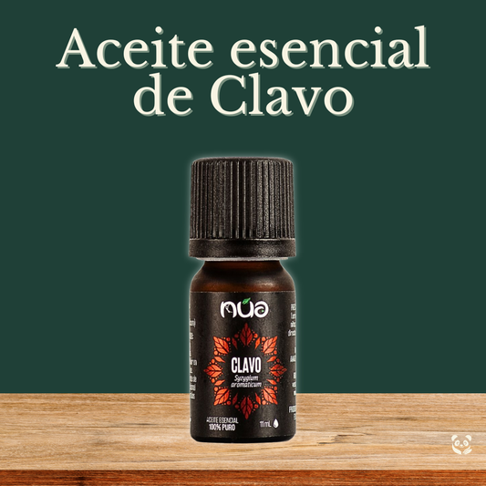 Aceite Esencial de Clavo de Olor | Nua