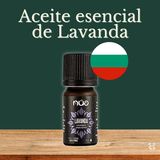 Aceite Esencial de Lavanda de Bulgaria | Relajante natural para estrés, insomnio y masajes (Copia) EcoValle