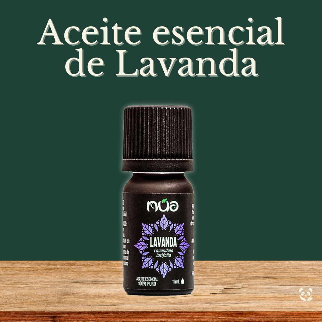 Aceite Esencial de Lavanda (Latifolia) | Relajante natural para estrés, insomnio y masajes Nua