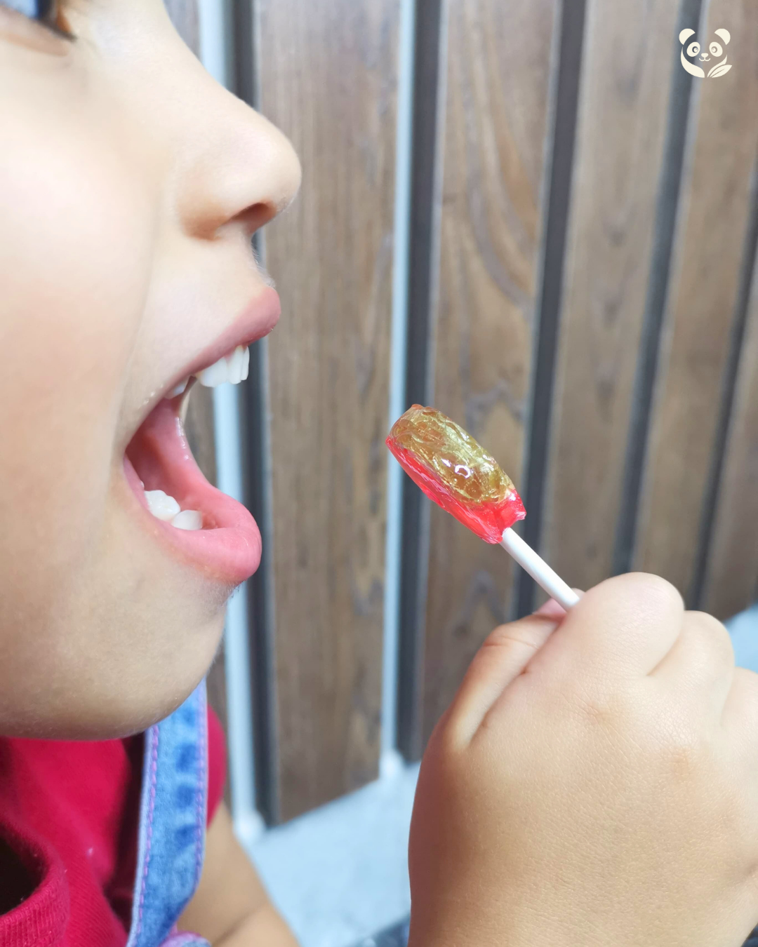 Chupetines Naturales | Endulzados con frutas y a base de tapioca Koochikoo
