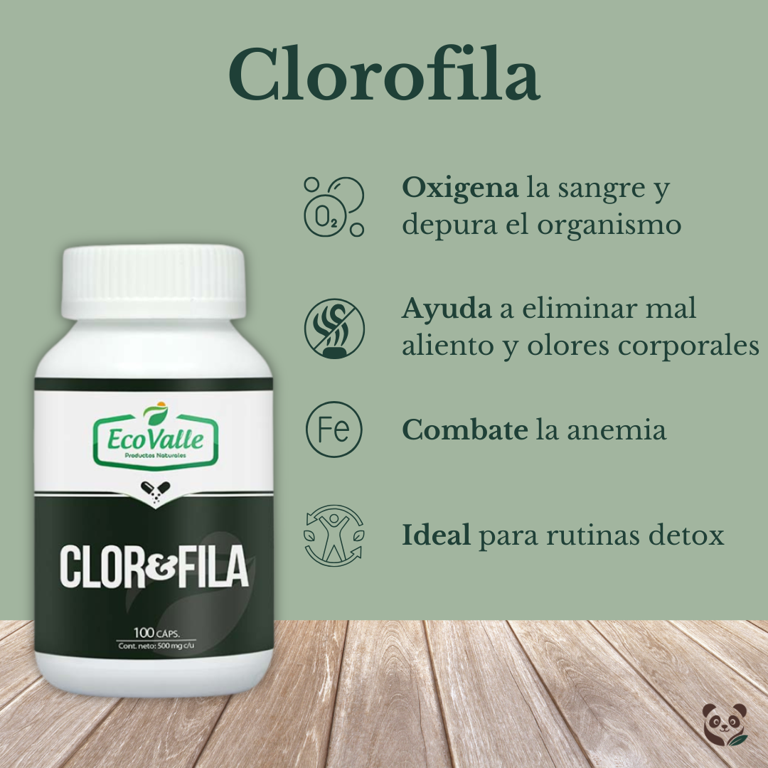 Clorofila en cápsulas | A base de Alfalfa | Desintoxica y oxigena naturalmente EcoValle
