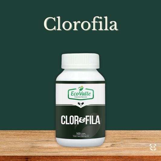 Clorofila en cápsulas | A base de Alfalfa | Desintoxica y oxigena naturalmente EcoValle