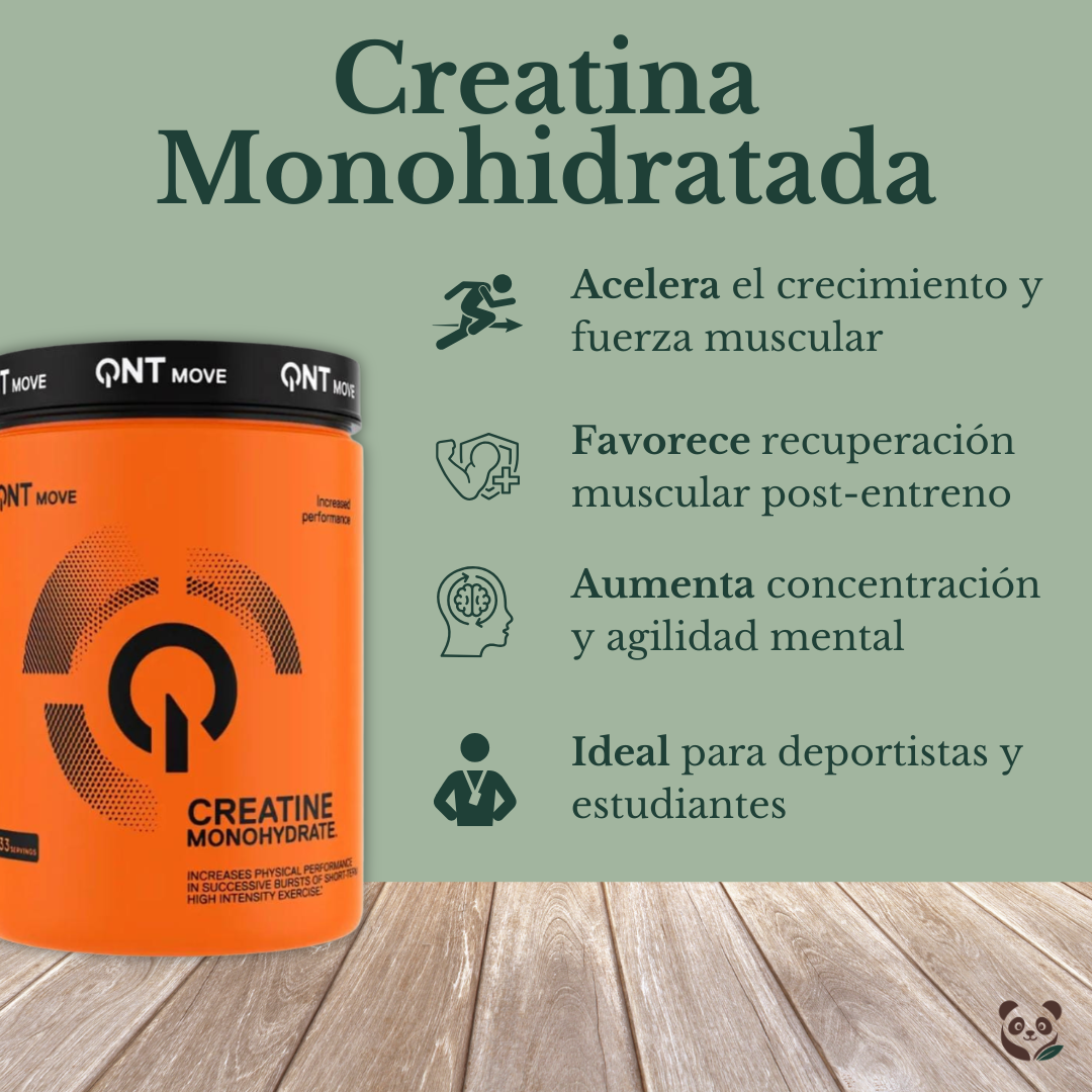 Creatina Monohidratada QNT | Crecimiento muscular y energía mental sostenida QNT