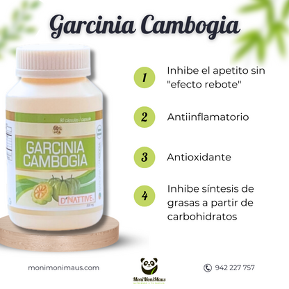 Garcinia Cambogia D' Nattive