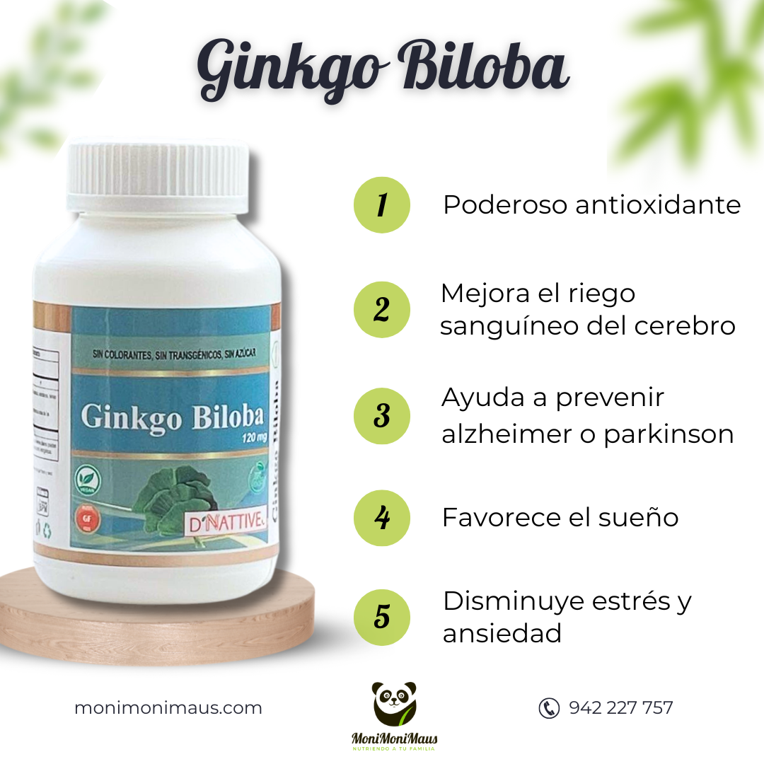 Ginkgo Biloba D' Nattive