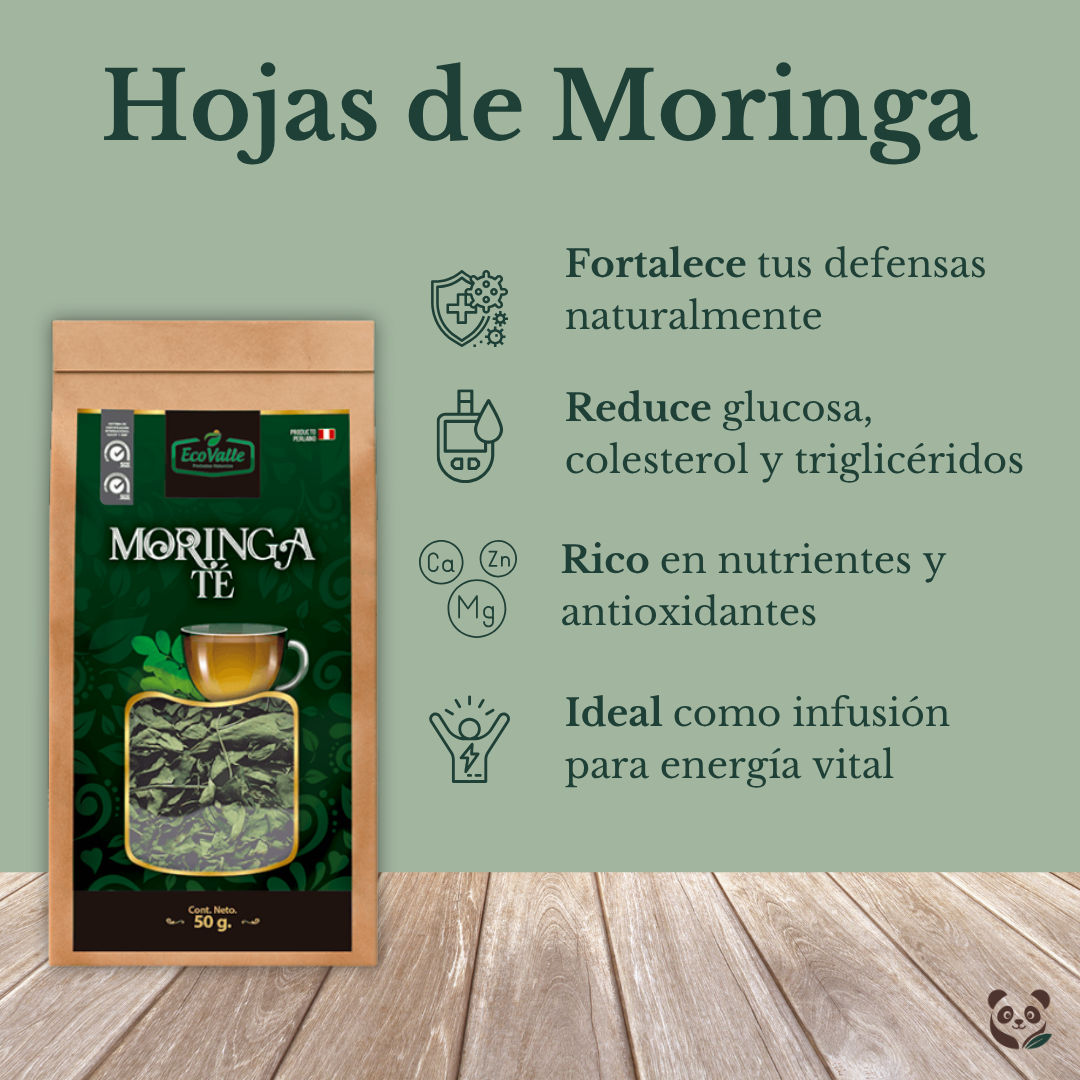 Hojas de Moringa | Infusión natural de apoyo en control de la diabetes EcoValle