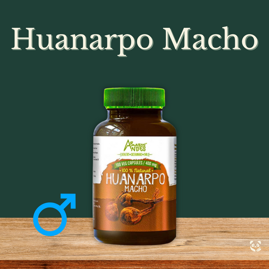 Huanarpo Macho en Cápsulas | Vitalidad y equilibrio hormonal Amazon Andes