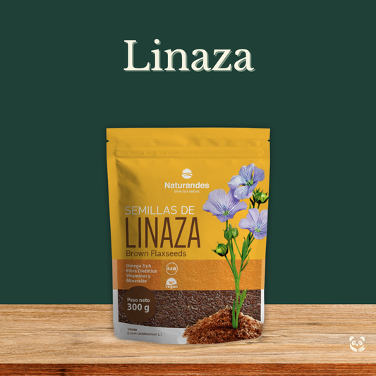 Linaza | Fibra, omega 3 y bienestar digestivo natural Naturandes