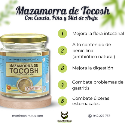 Mazamorra de Tocosh D' Nattive