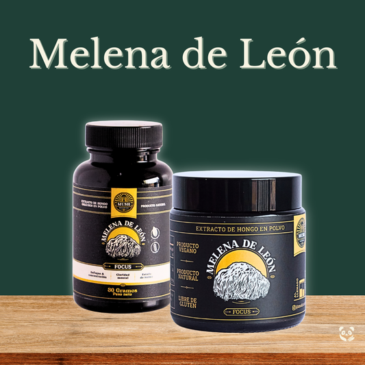 Melena de León | Extracto dual estandarizado para mejor enfoque y concentración Mush Naturals
