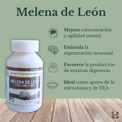 Melena de León con Vitamina C | Memoria, enfoque y flora intestinal Oriundo's, D' Nattive