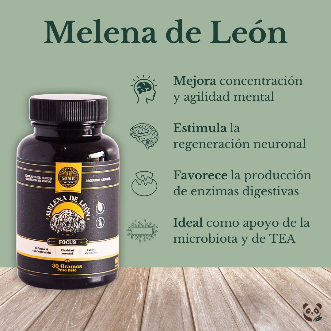 Melena de León | Extracto dual estandarizado para mejor enfoque y concentración Mush Naturals