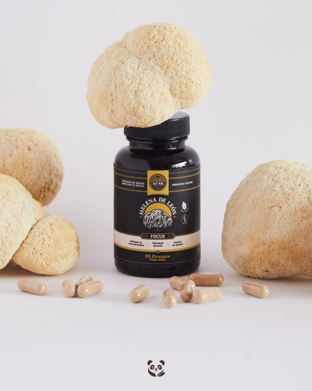 Melena de León | Extracto dual estandarizado para mejor enfoque y concentración Mush Naturals
