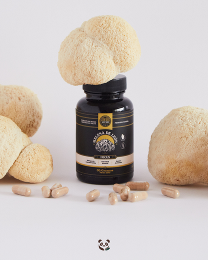 Melena de León | Extracto dual estandarizado para mejor enfoque y concentración Mush Naturals