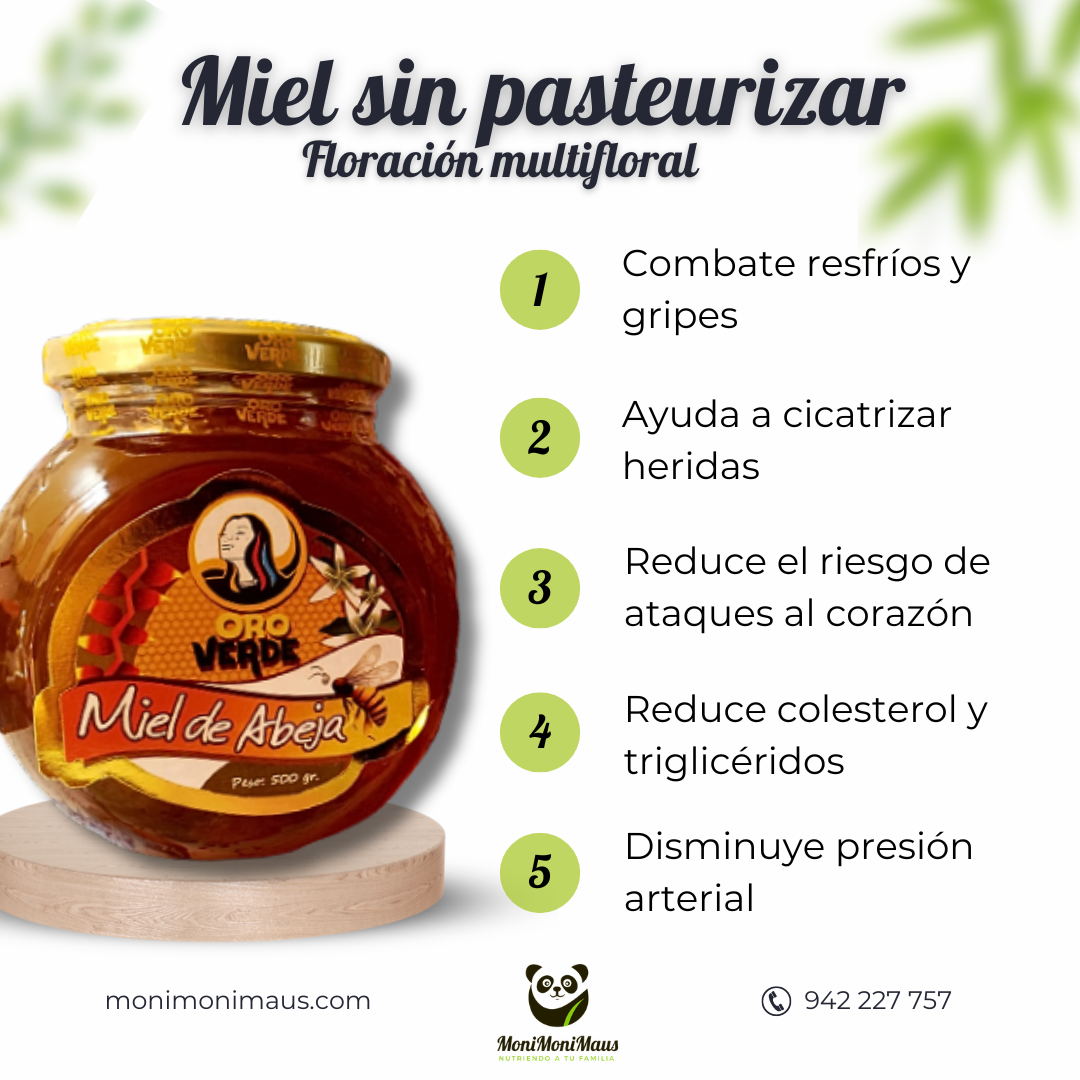 NBF Miel orgánica con miel (16 onzas) 100% pura, cruda, sin filtrar, sin  pasteurizar, miel orgánica de la selva tropical biodiversa mexicana, flores