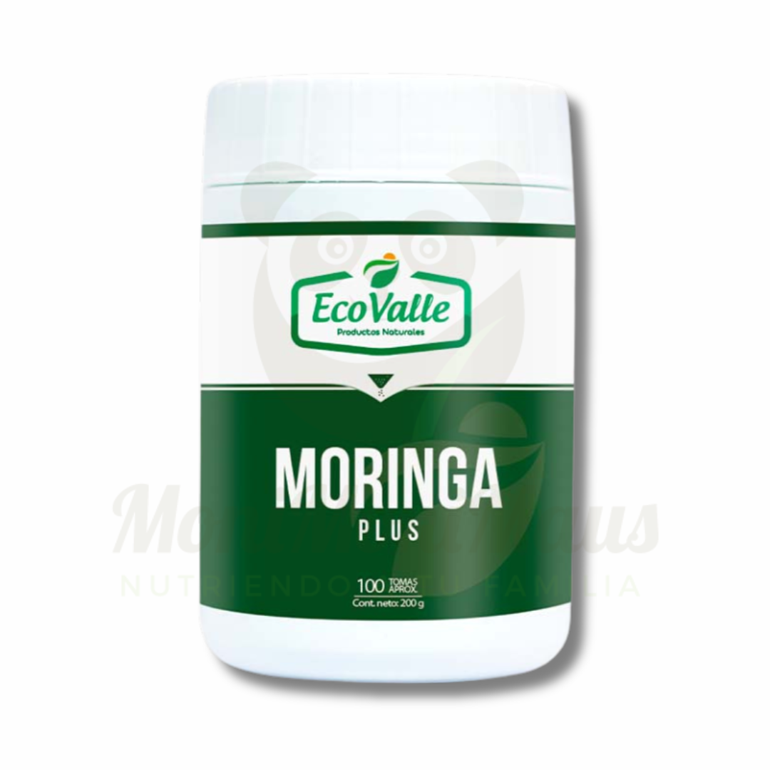 Moringa EcoValle