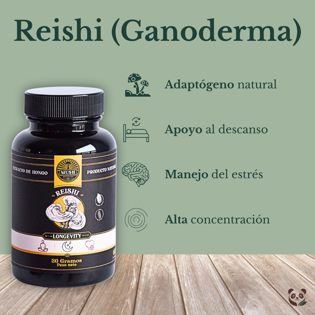 Reishi (Ganoderma Lucidum) | Extracto dual estandarizado para mayor calma y respuesta inmune Mush Naturals