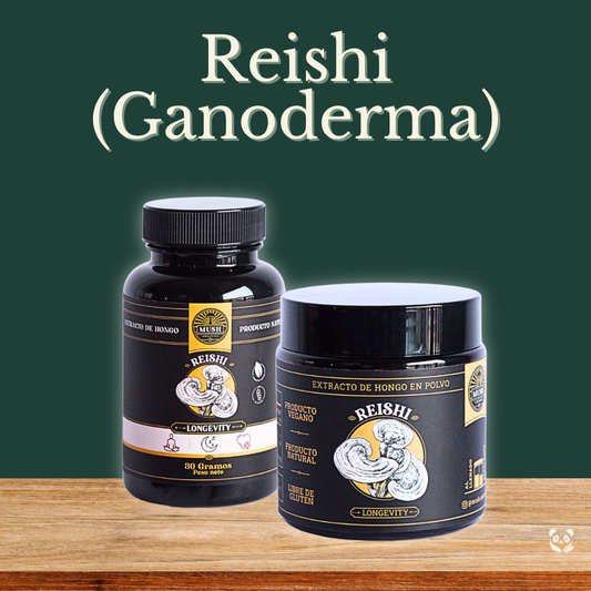 Reishi (Ganoderma Lucidum) | Extracto dual estandarizado para mayor calma y respuesta inmune Mush Naturals